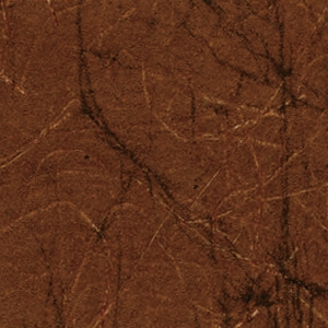KP 5492