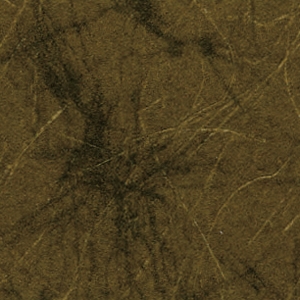 KP 5493