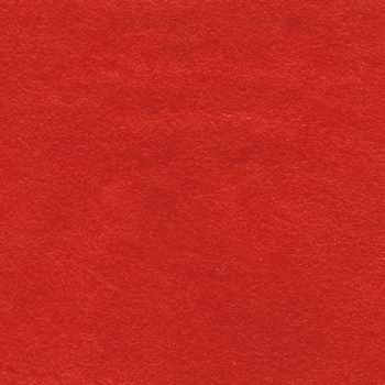 KP 5572