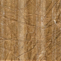 KP 5604