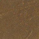 KP 1559