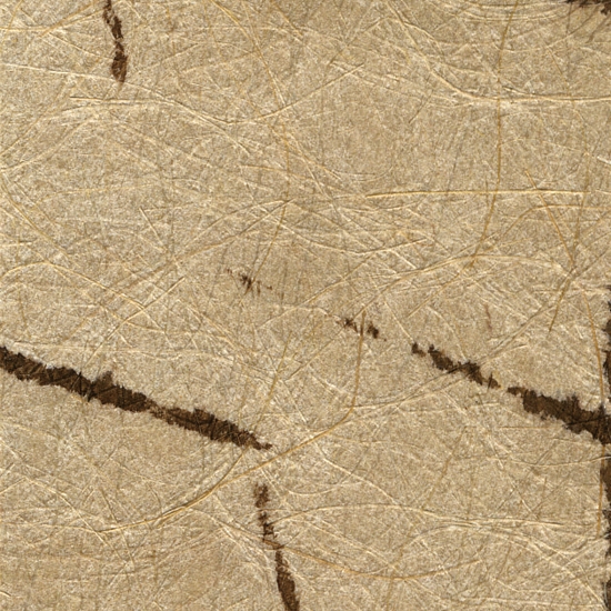 Mostrar el producto KP 5608 del fabricante Kamism