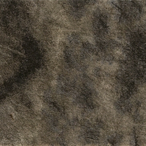 KP 5631