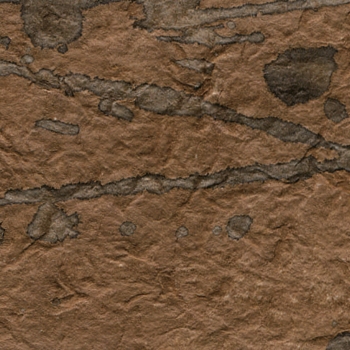 KP 5647