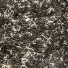 KP 5660