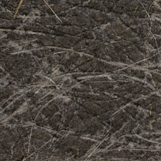 KP 5670