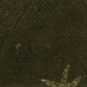 KP 5682