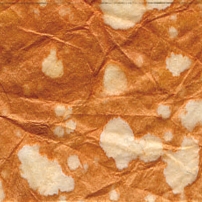 KP 5815