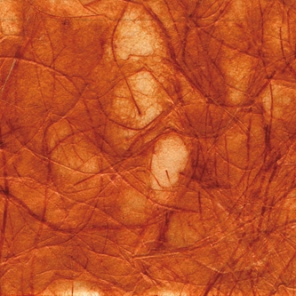 KP 5838
