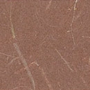 KP 1636