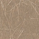 KP 1645