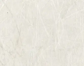 Kamism - KP 1650