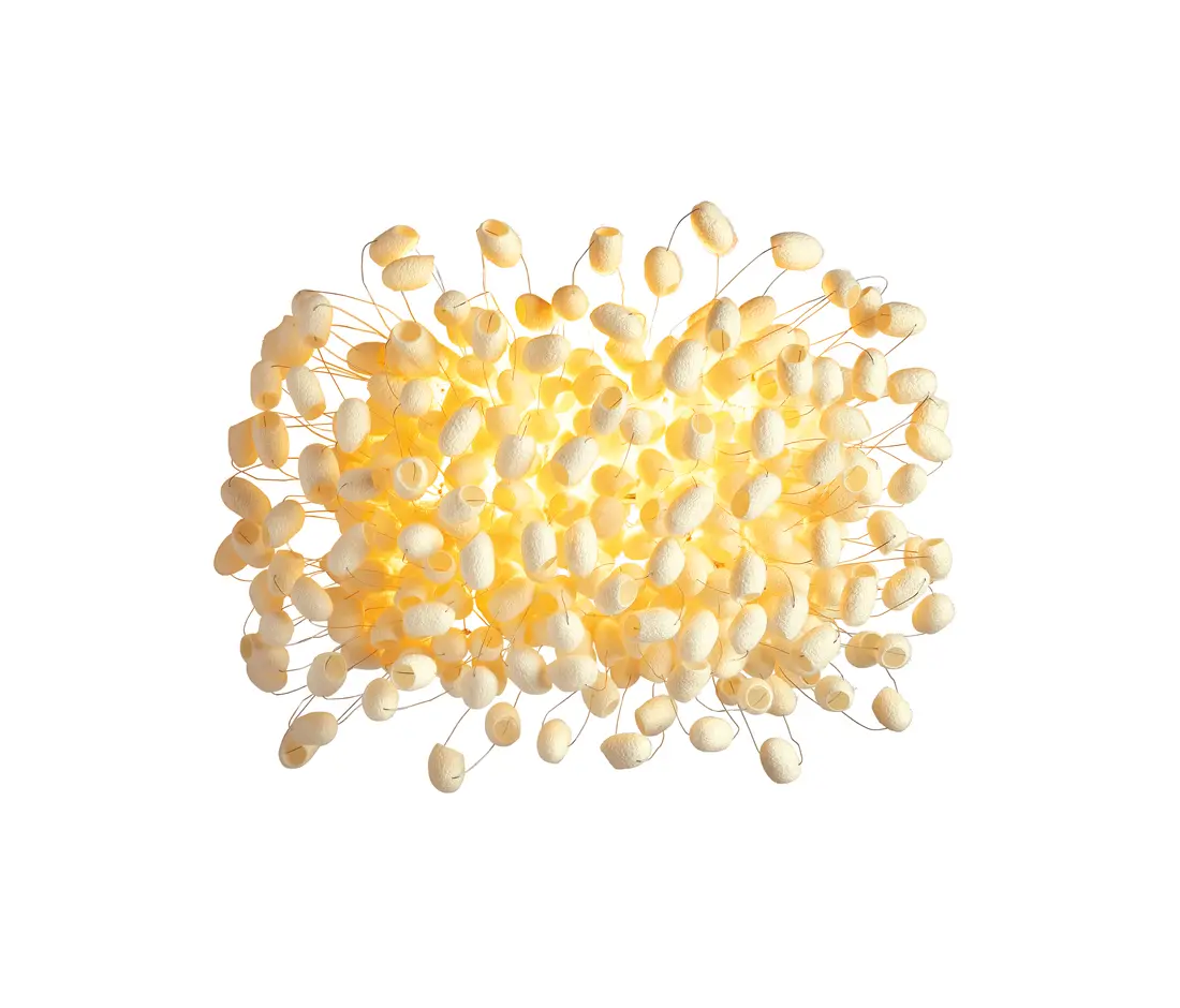 ANGO - Chrysalis Wall