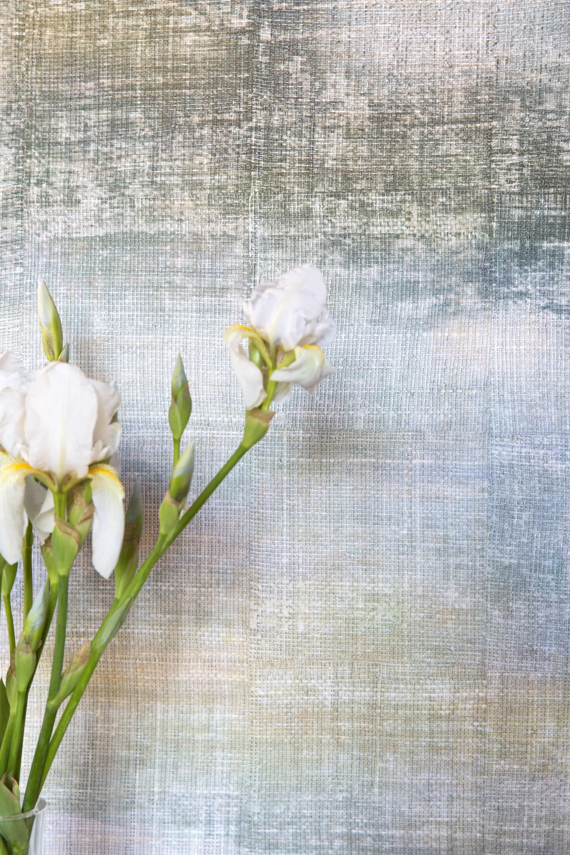 Elitis - Octobre DM 601 02