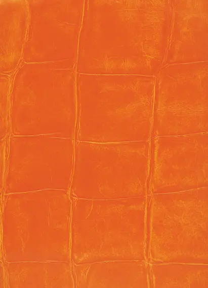 Elitis - Big Croco VP 423 15