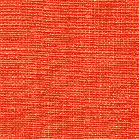 Elitis - Textures Végétales | Abaca VP 730 24