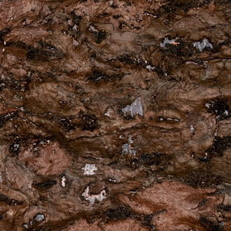 Mostra il prodotto Nature précieuse RM 631 90 del produttore Elitis