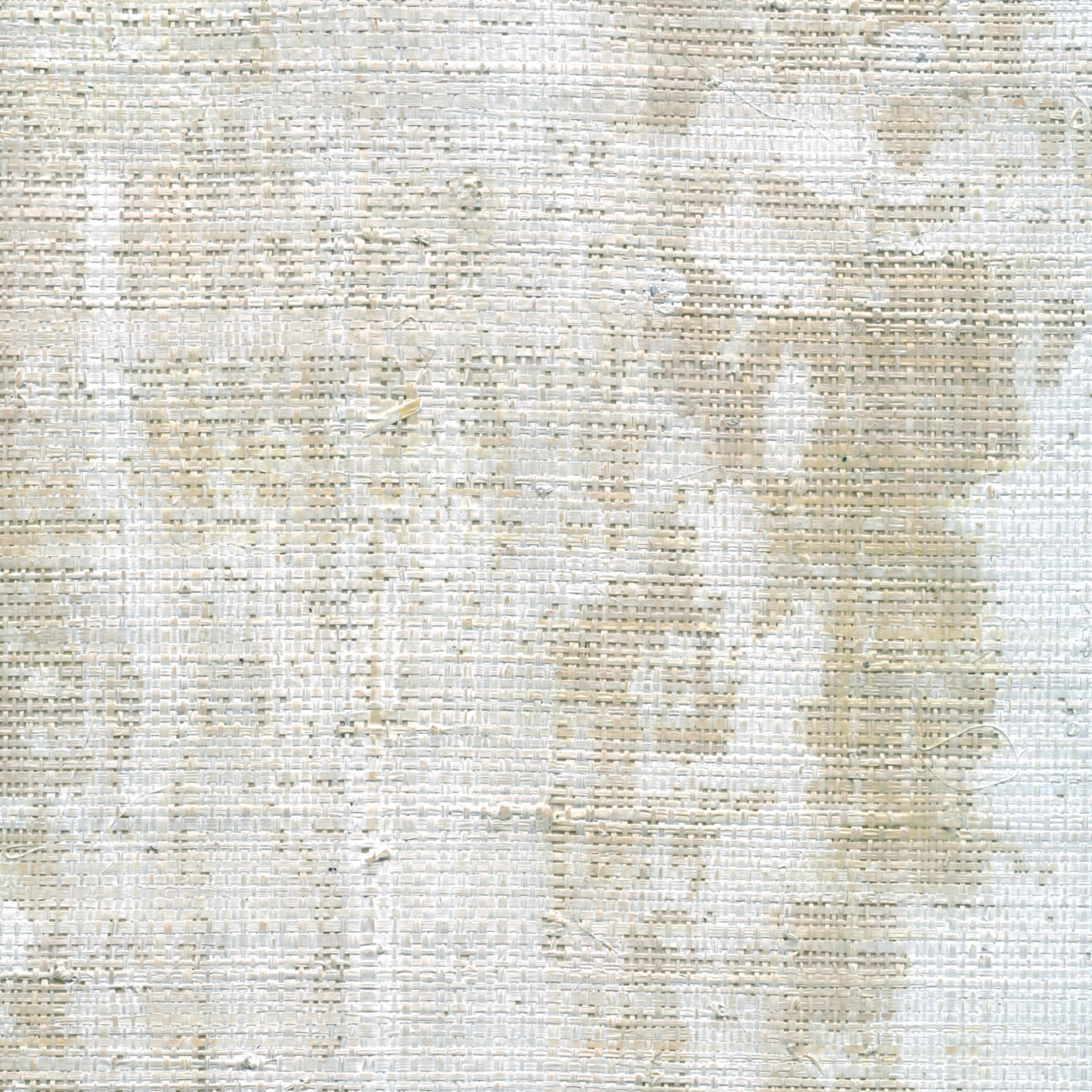 Display product Robinson | Tissage de raphia enduit RM 900 01 from manufacturer Elitis