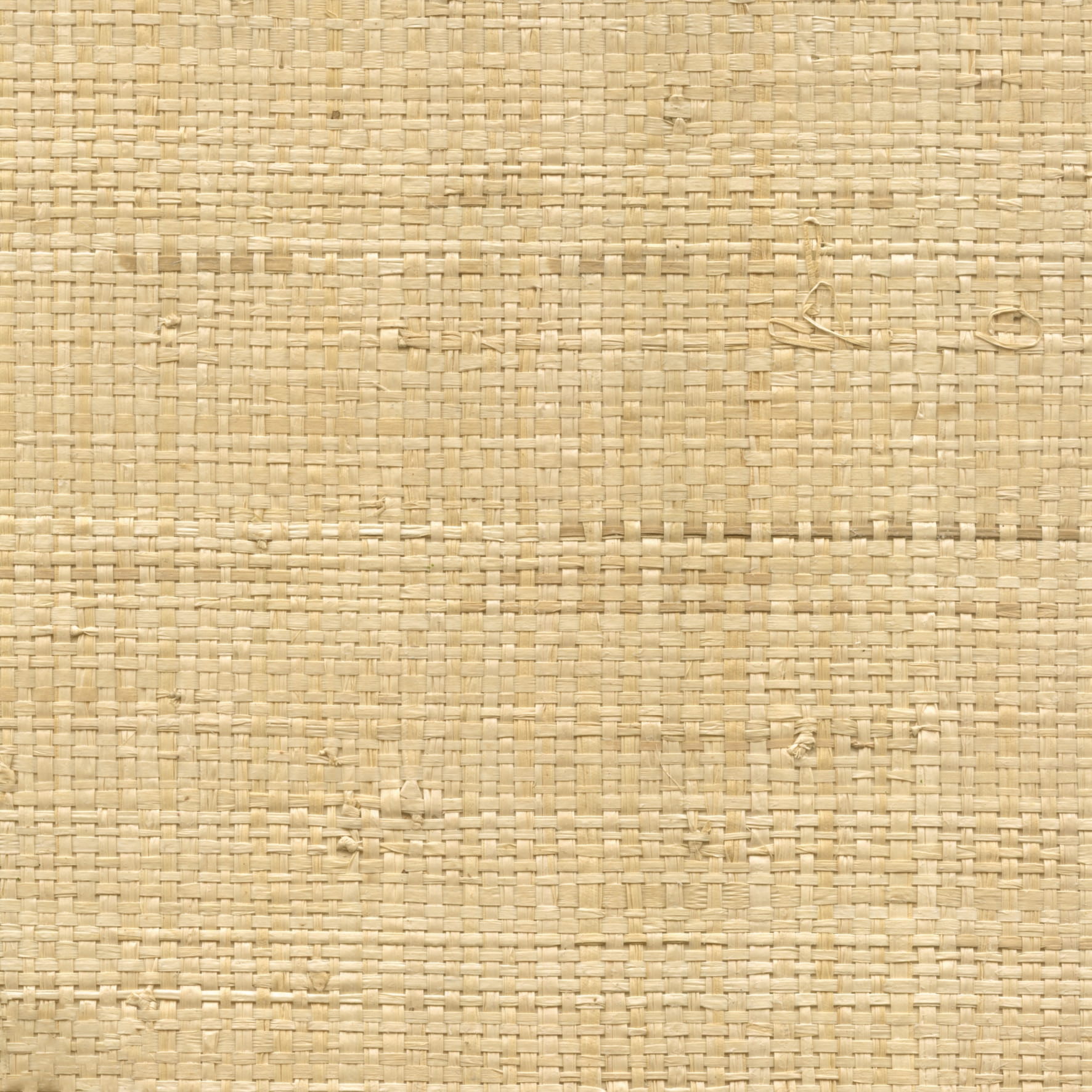 Display product Robinson | Tissage de raphia enduit RM 904 15 from manufacturer Elitis