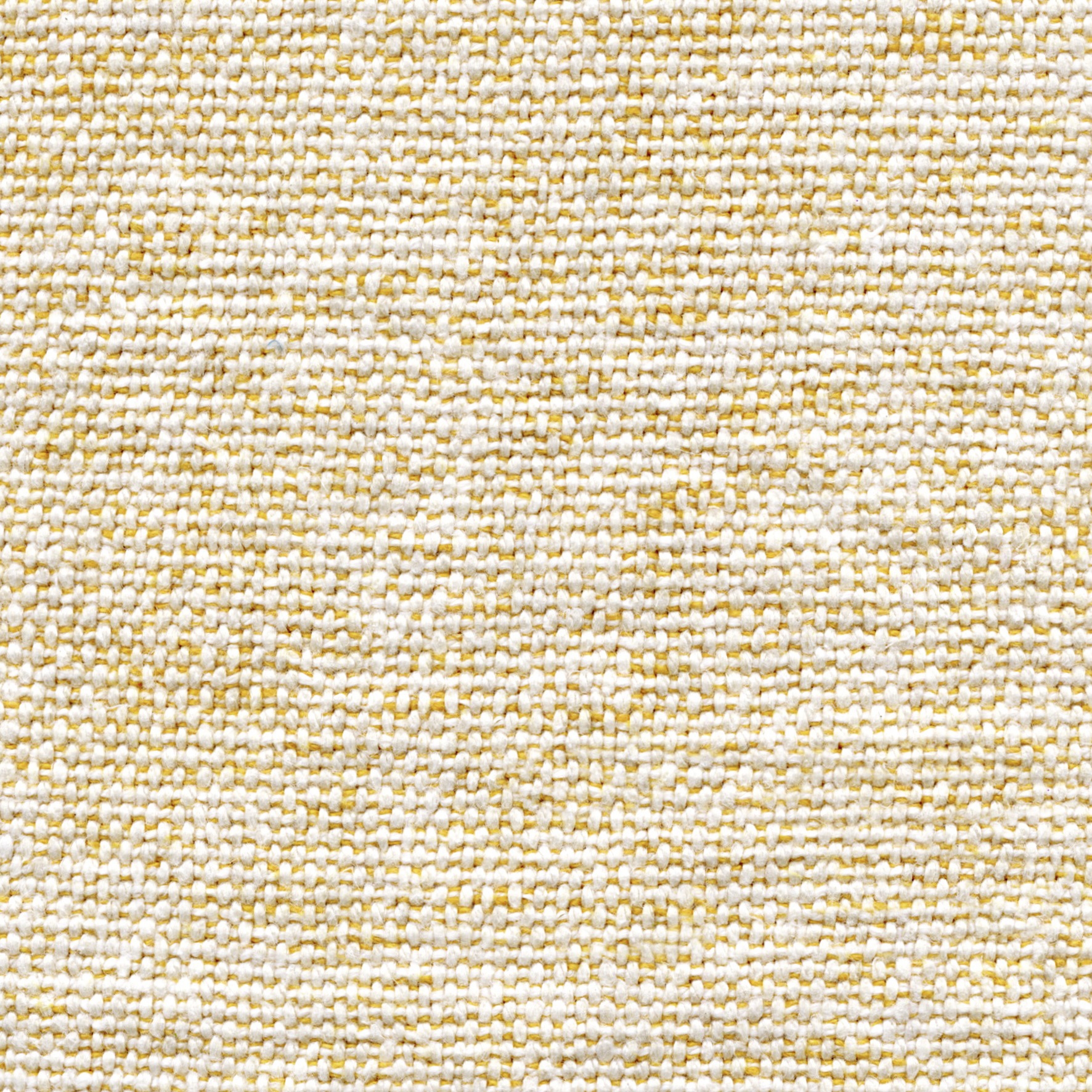 Assouan LI 511 20