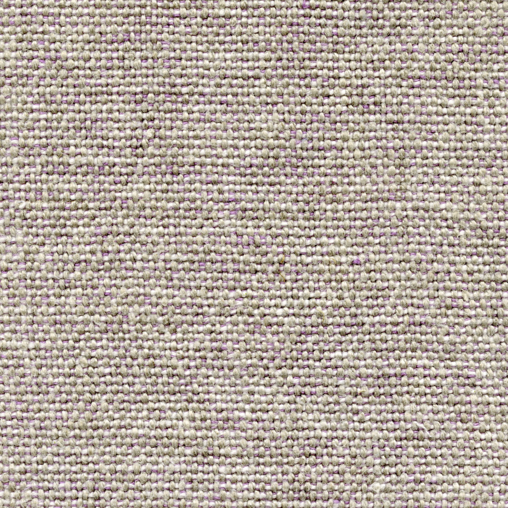 Assouan LI 511 56