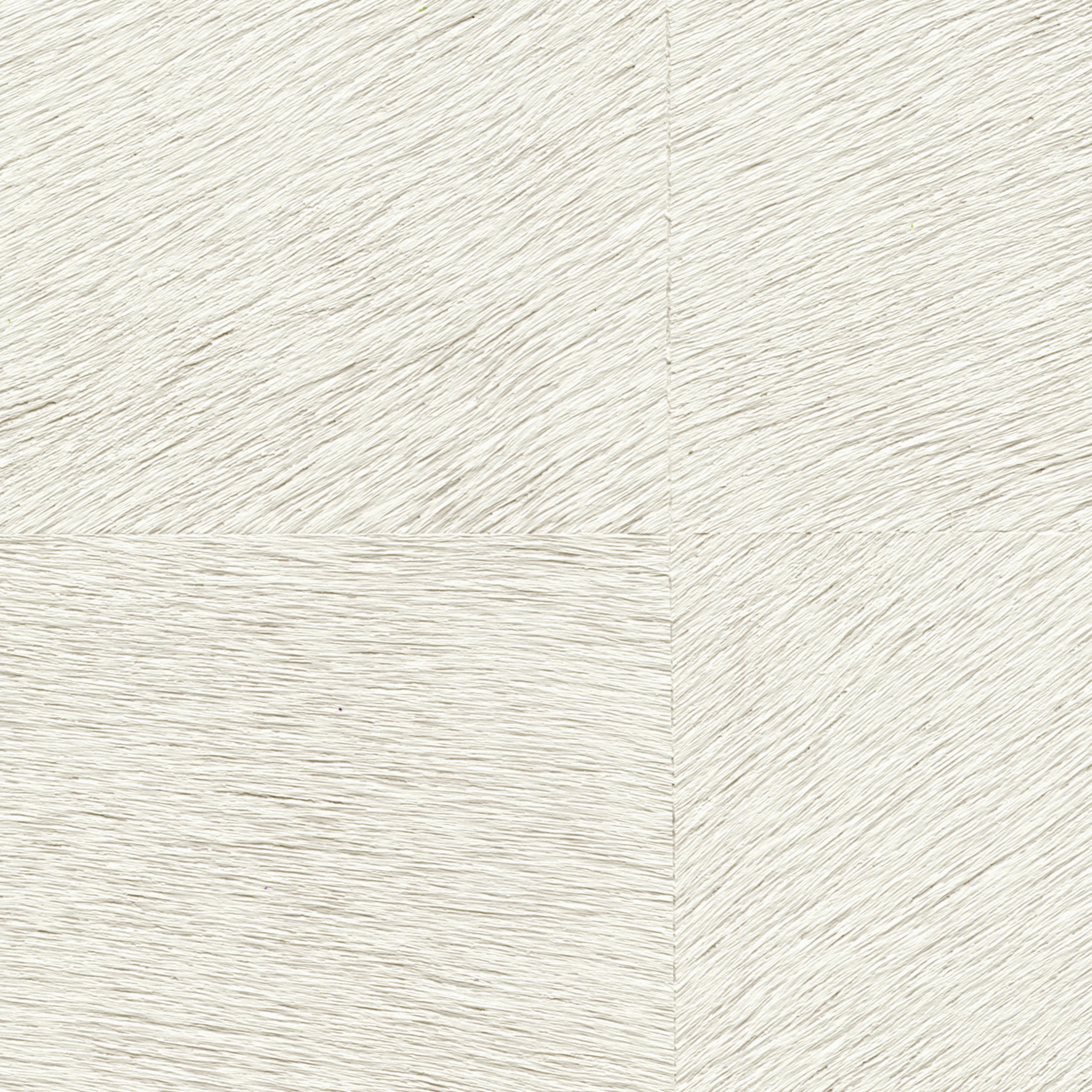 Natives | Movida HPC CV 101 01