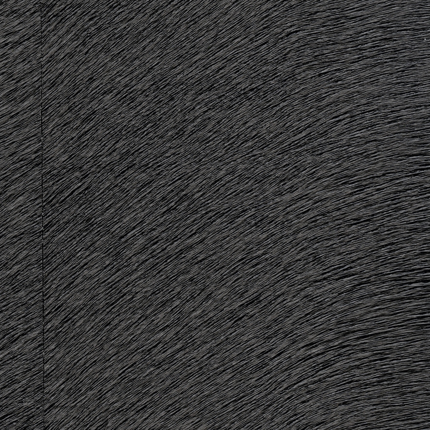 Natives | Movida HPC CV 101 06