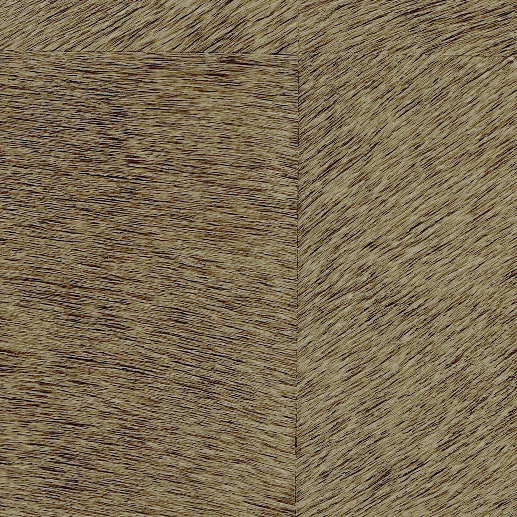 Elitis - Natives | Movida HPC CV 101 10