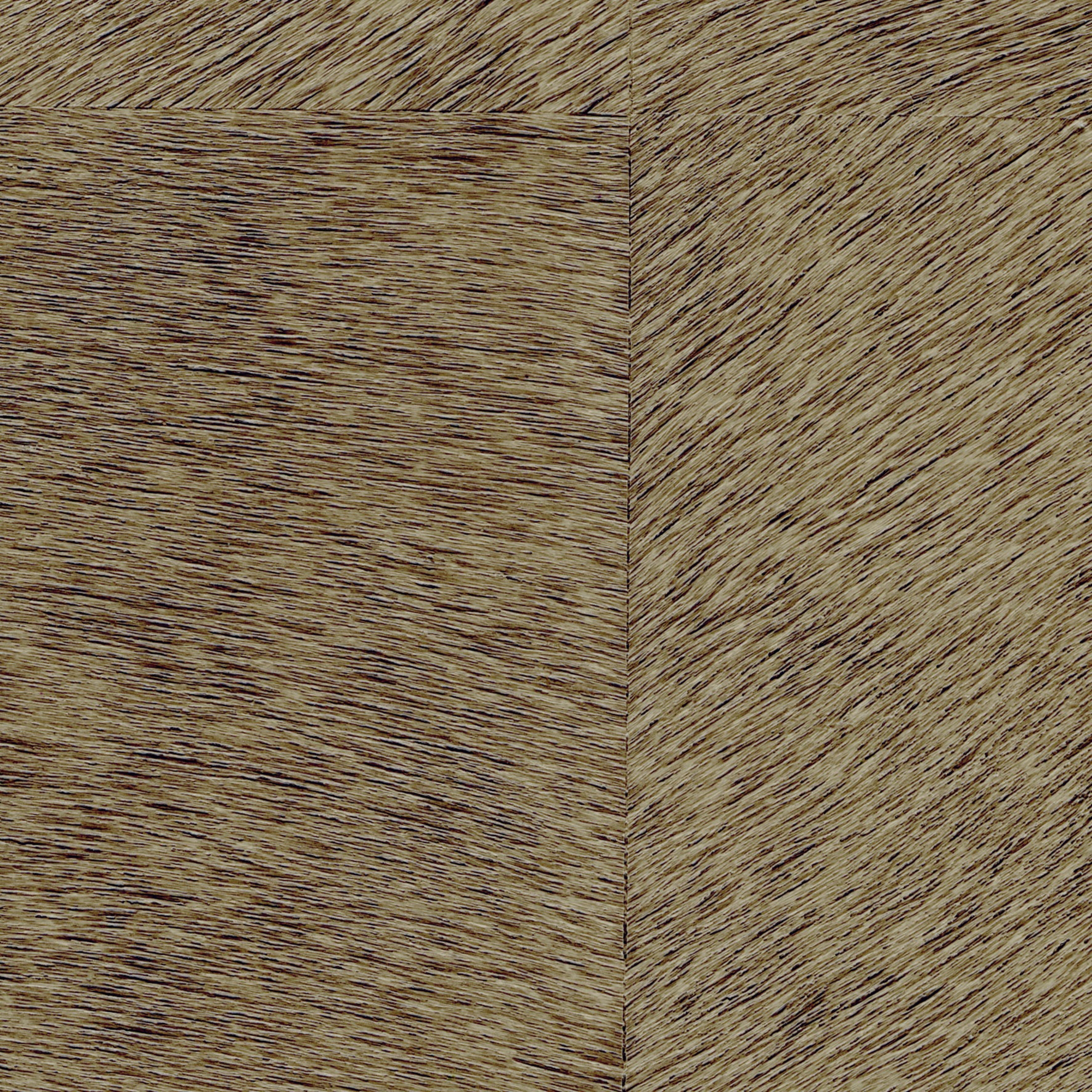 Natives | Movida HPC CV 101 10