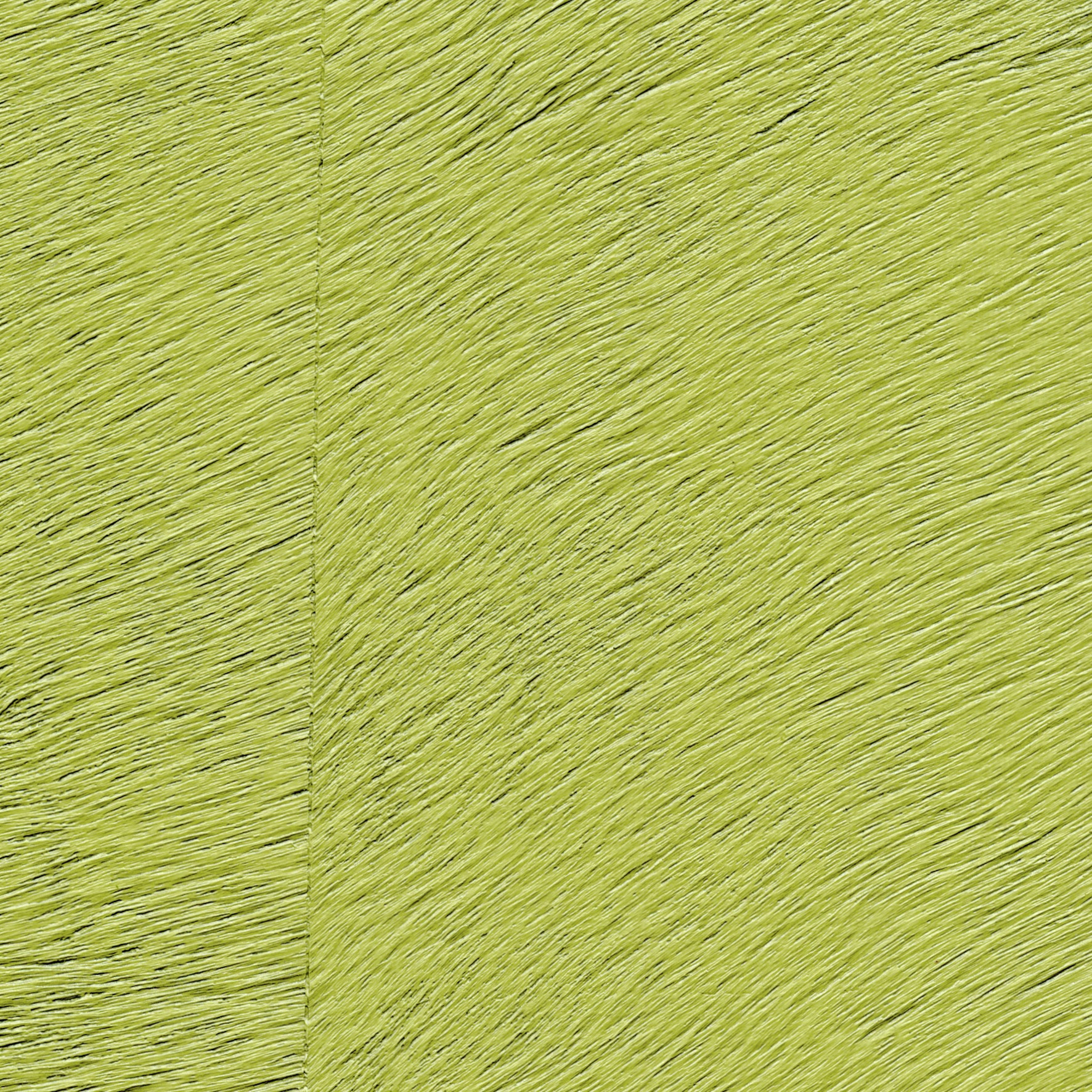 Natives | Movida HPC CV 101 19