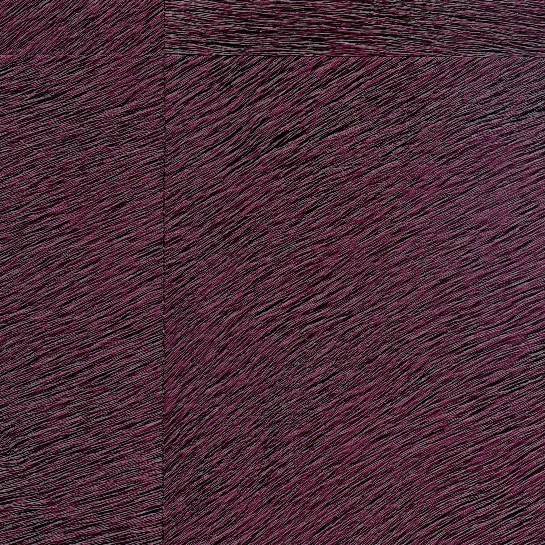 Natives | Movida HPC CV 101 23