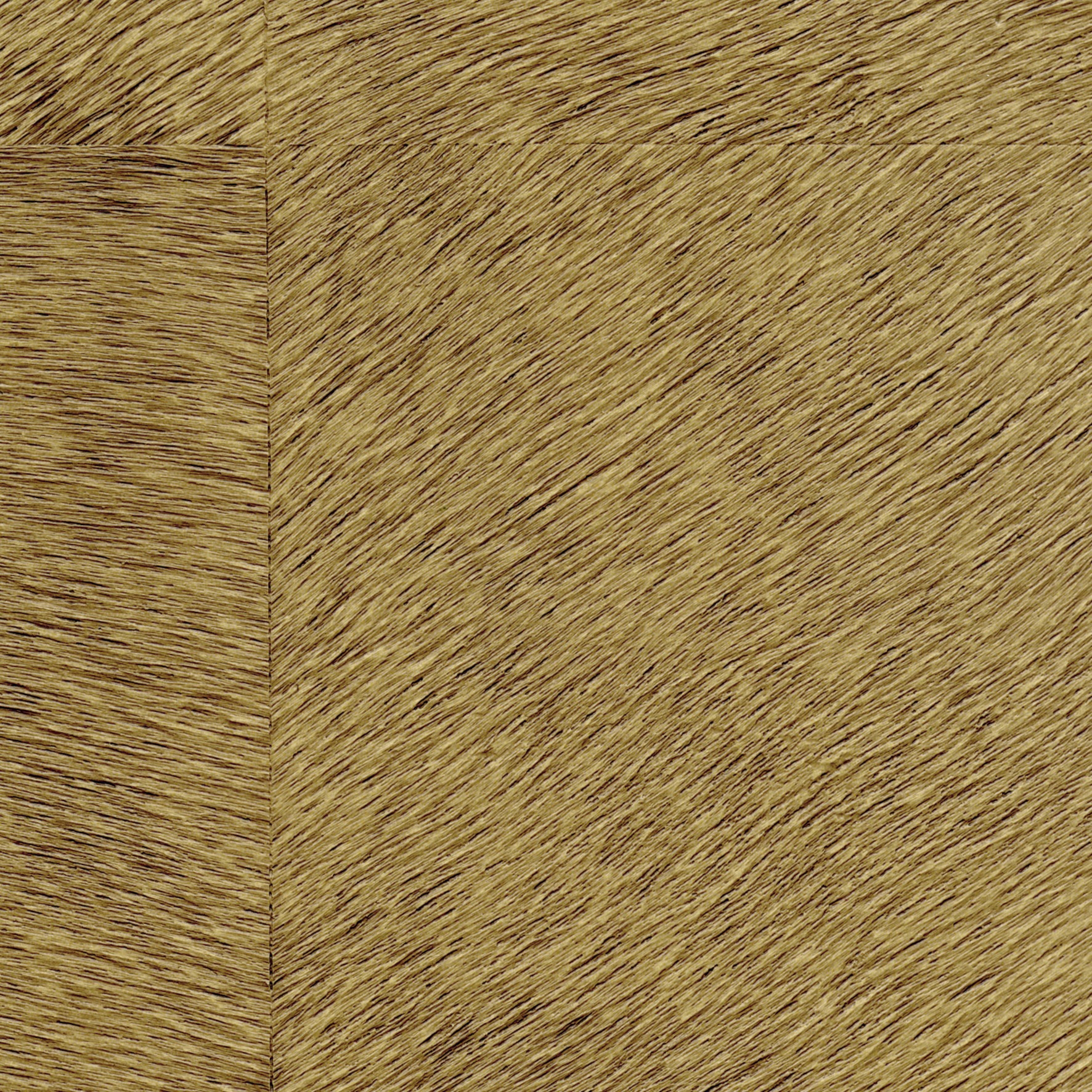 Natives | Movida HPC CV 101 30