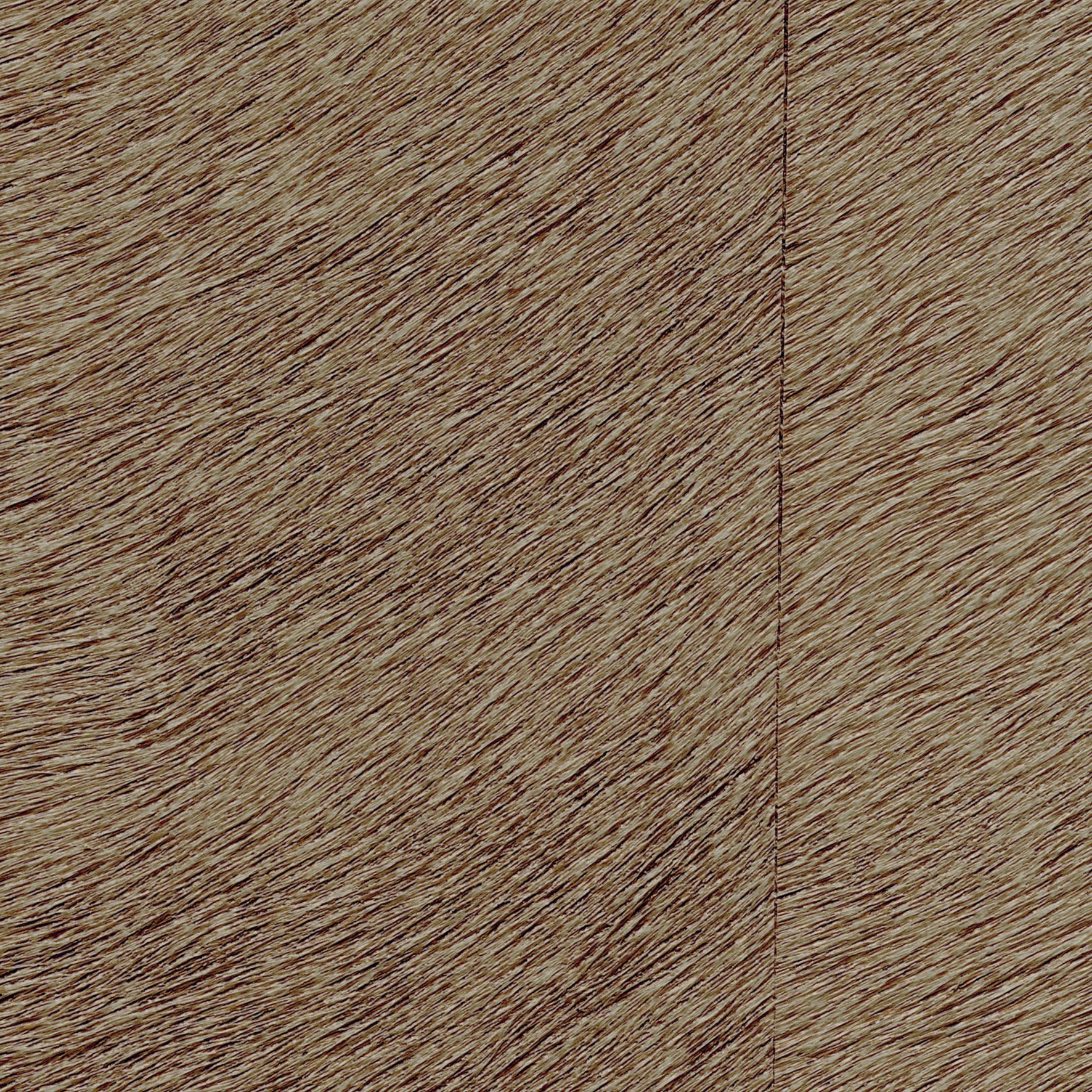 Natives | Movida HPC CV 101 43
