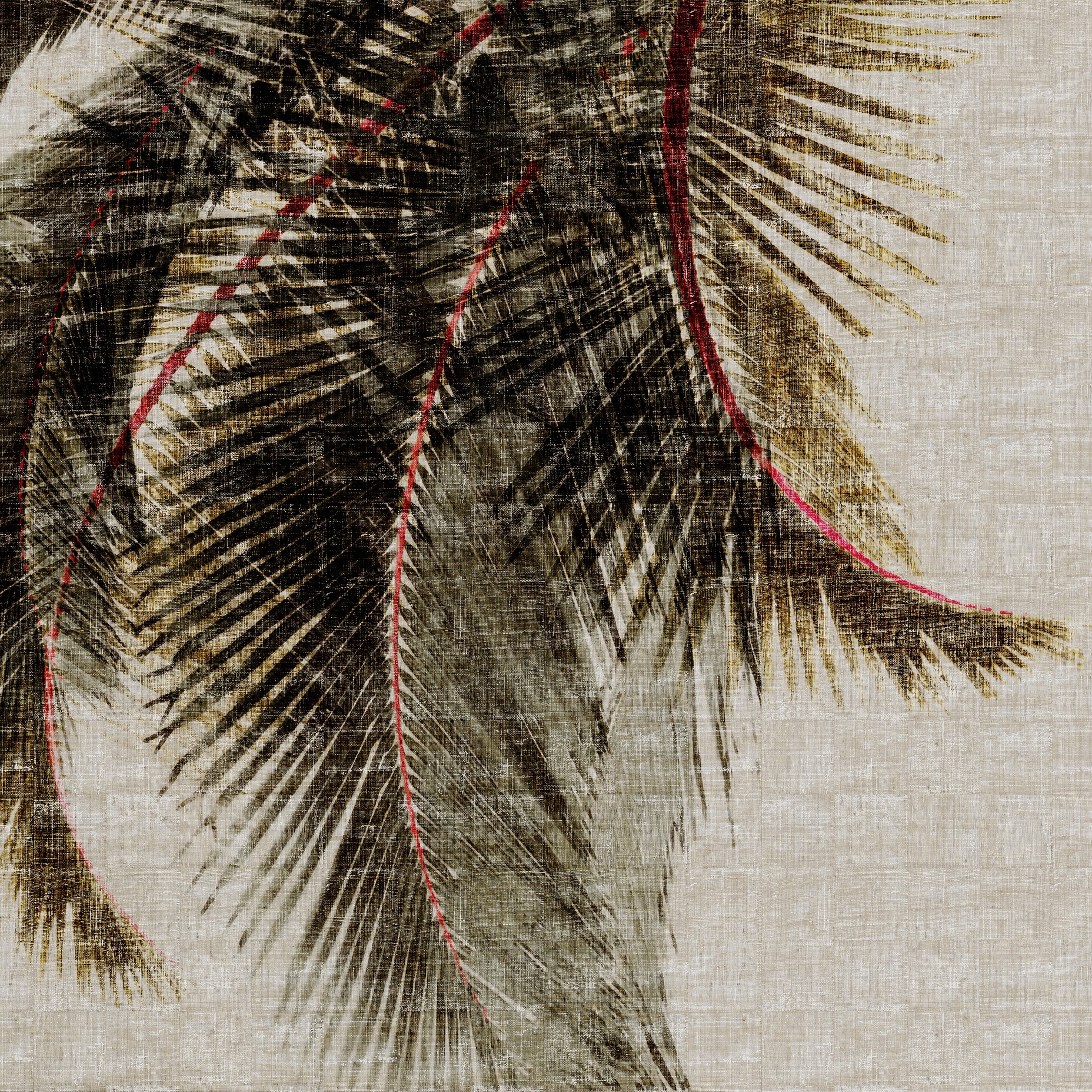 Mostra il prodotto Raffia & Madagascar | Cuba Libre VP 603 01 del produttore Elitis