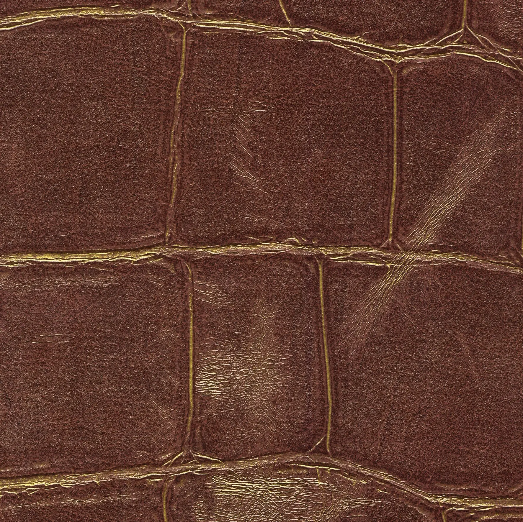 Elitis - ABCG | Big Croco HPC CV 105 28