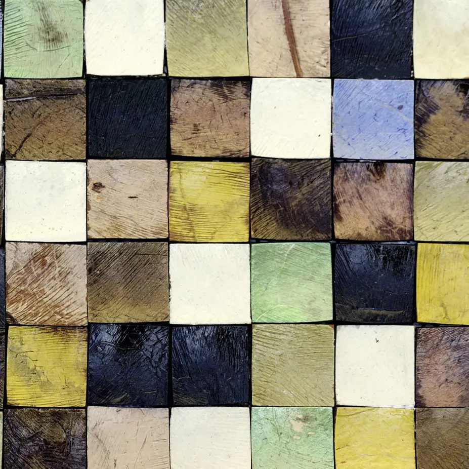 Elitis - Coco Shells | Visayas RM 945 02