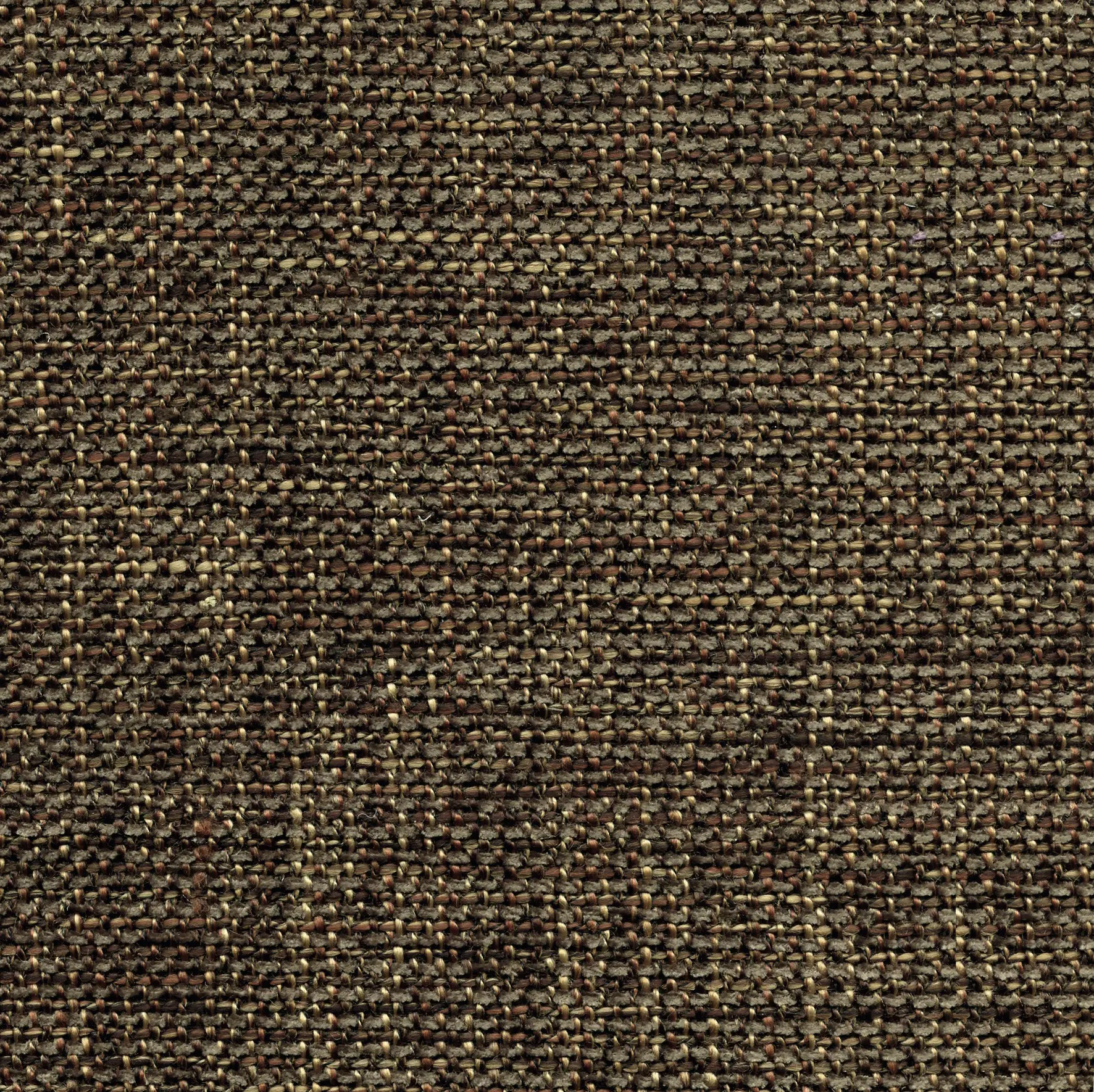 Elitis - Tailor LW 240 73