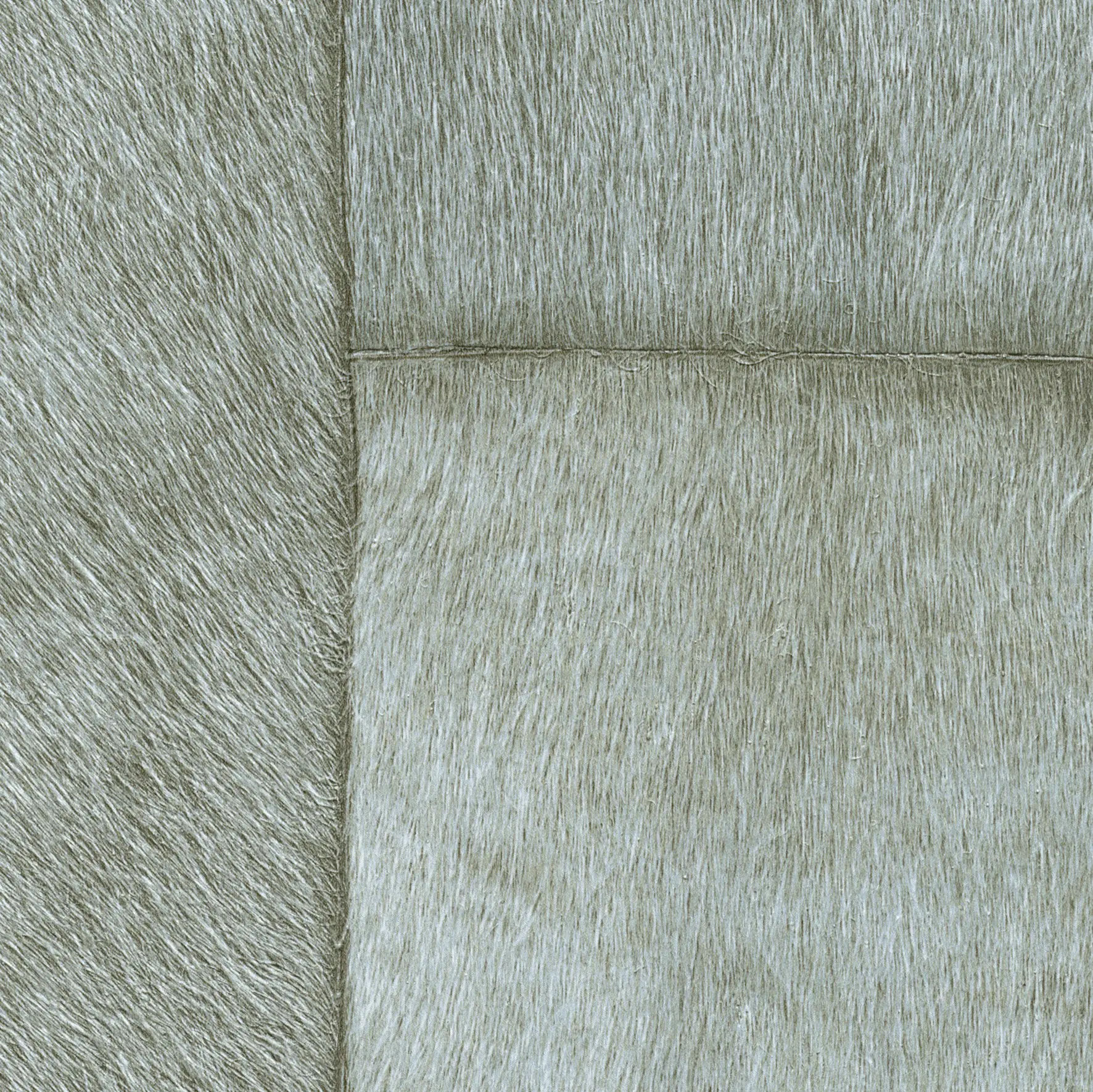 Elitis - Indomptée | Appaloosa VP |  618 02