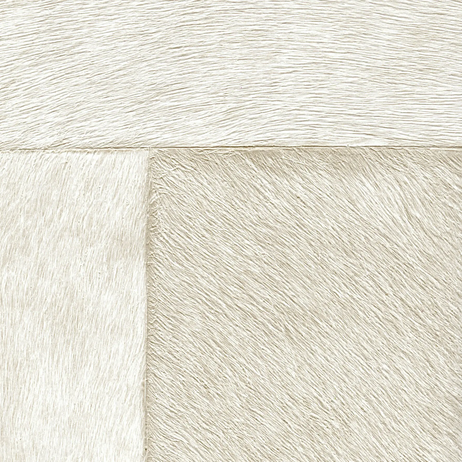 Elitis - Indomptée | Appaloosa VP | 618 03