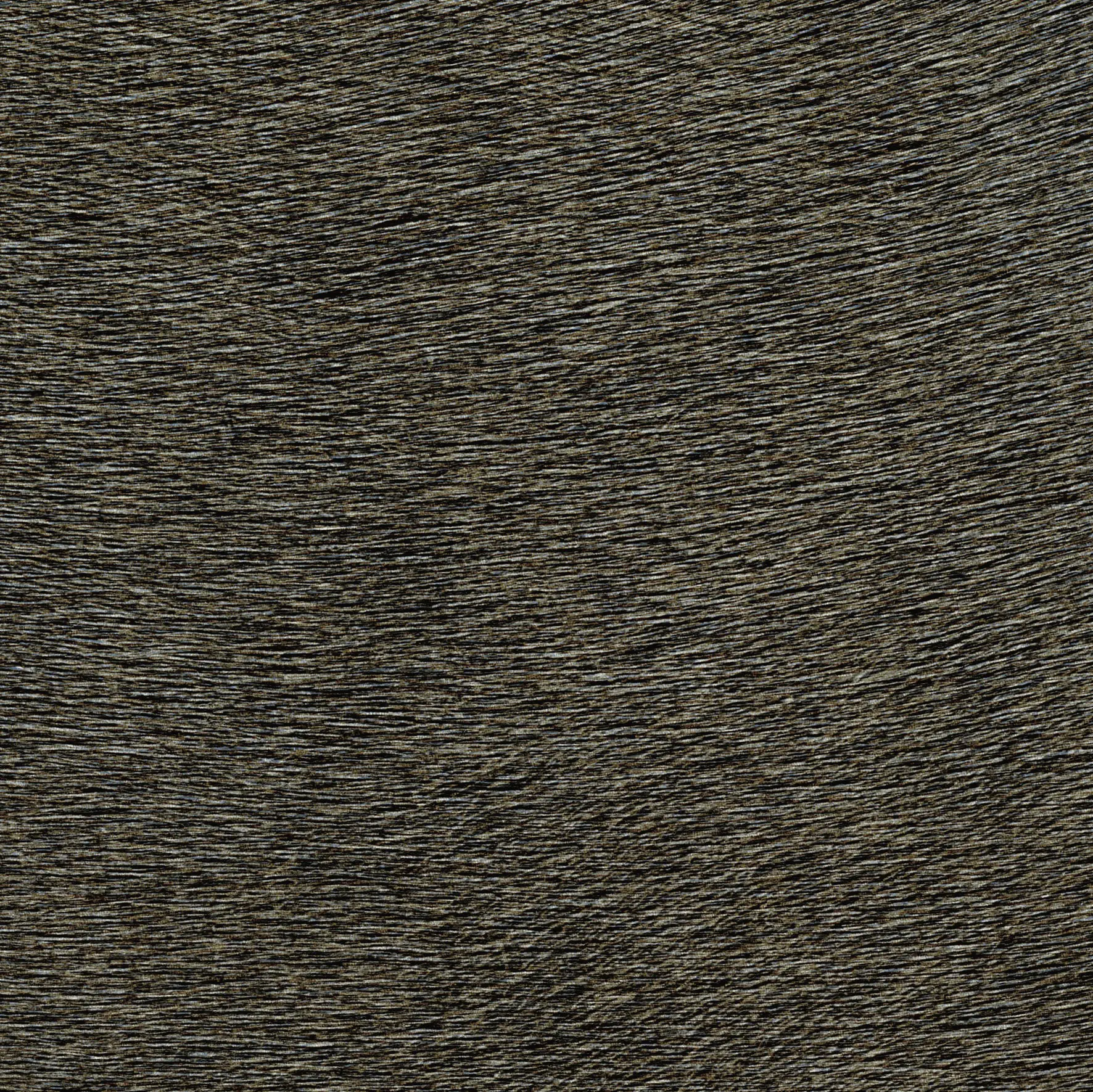 Elitis - Indomptée | Movida VP 625 39