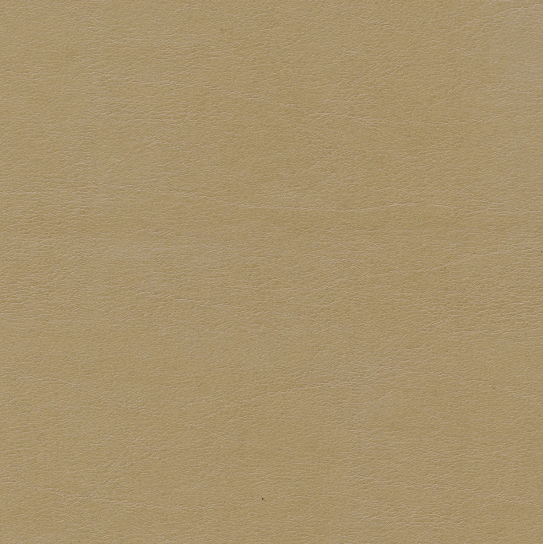 Elitis - Club LW 360 15