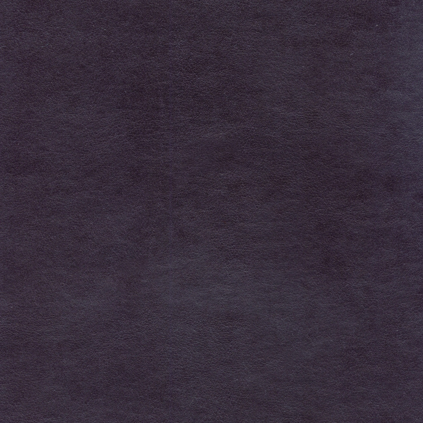 Club LW 360 51