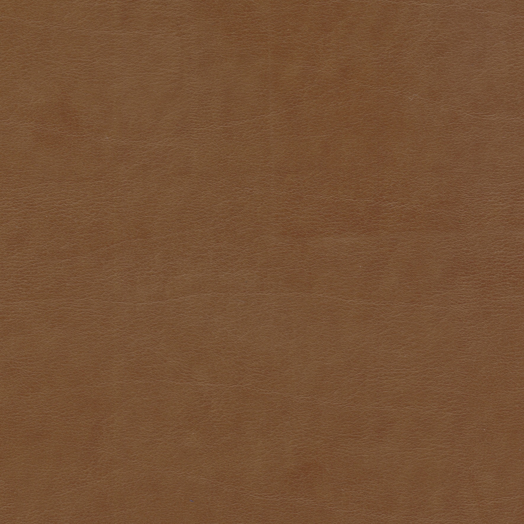 Club LW 360 78
