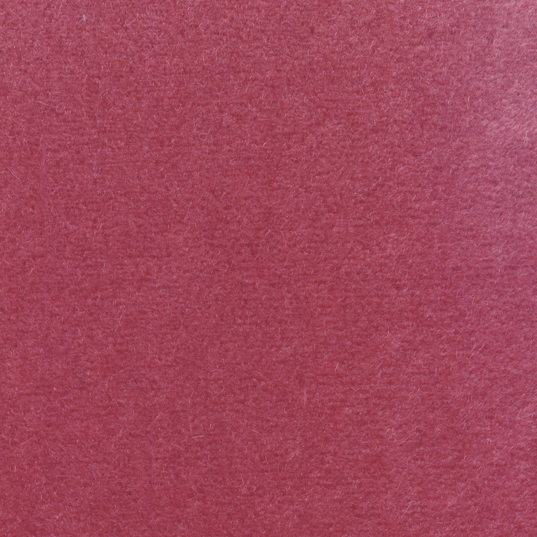 Display product Pur mohair WO 108 31 from manufacturer Elitis
