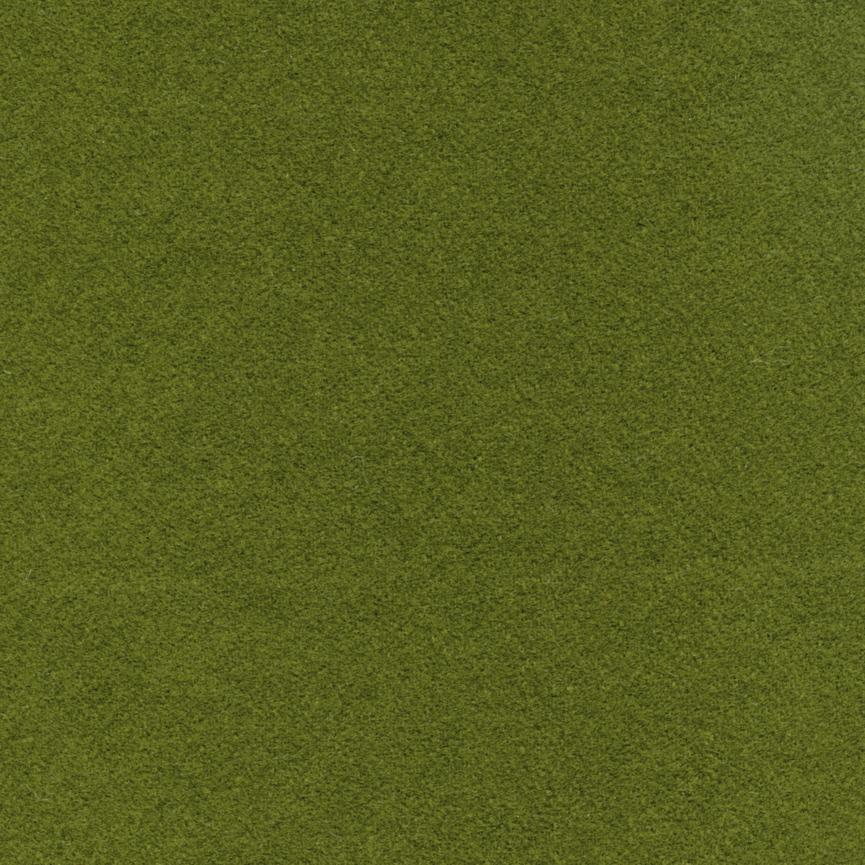 Flanelle WO 101 06