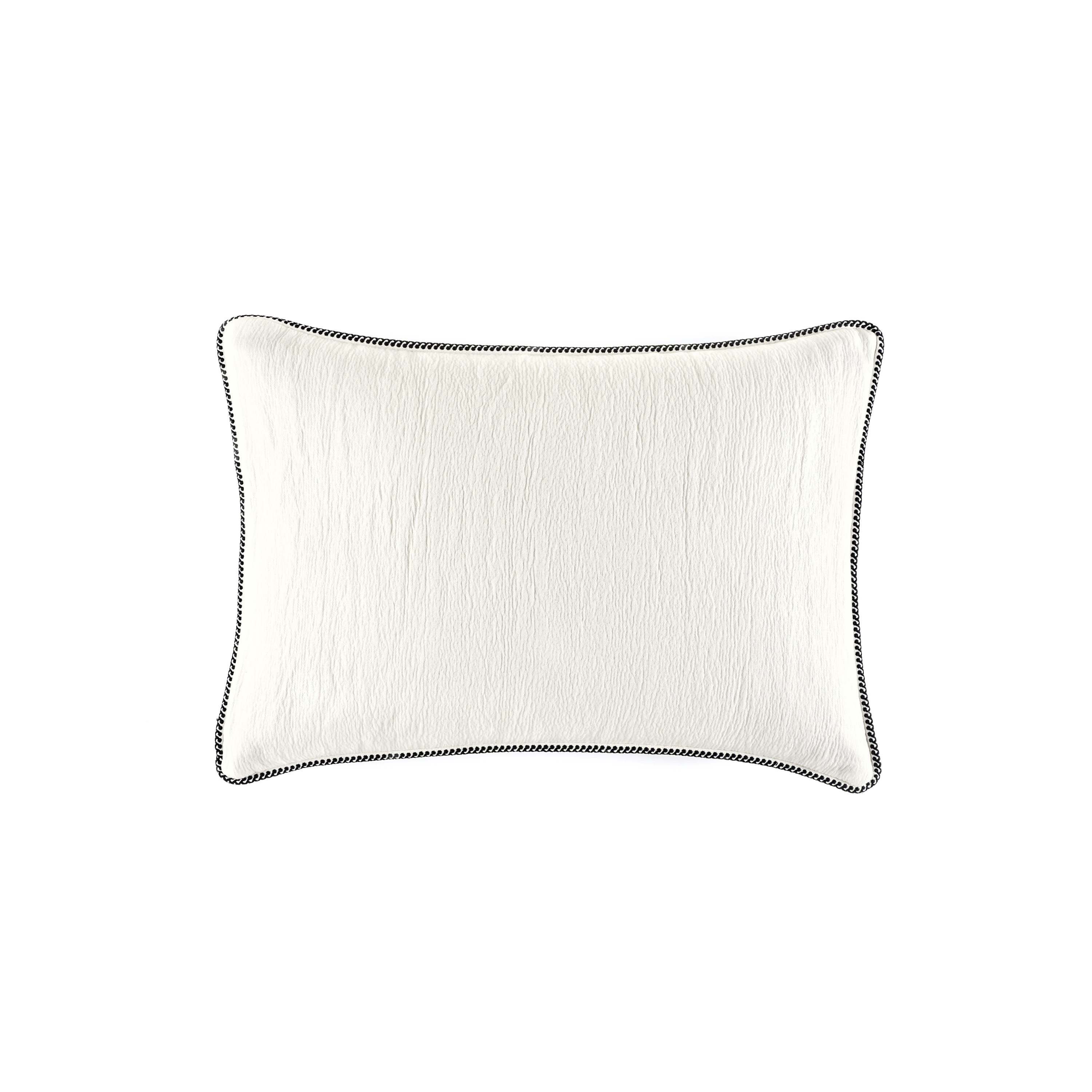 Waves | CO 159 02 03