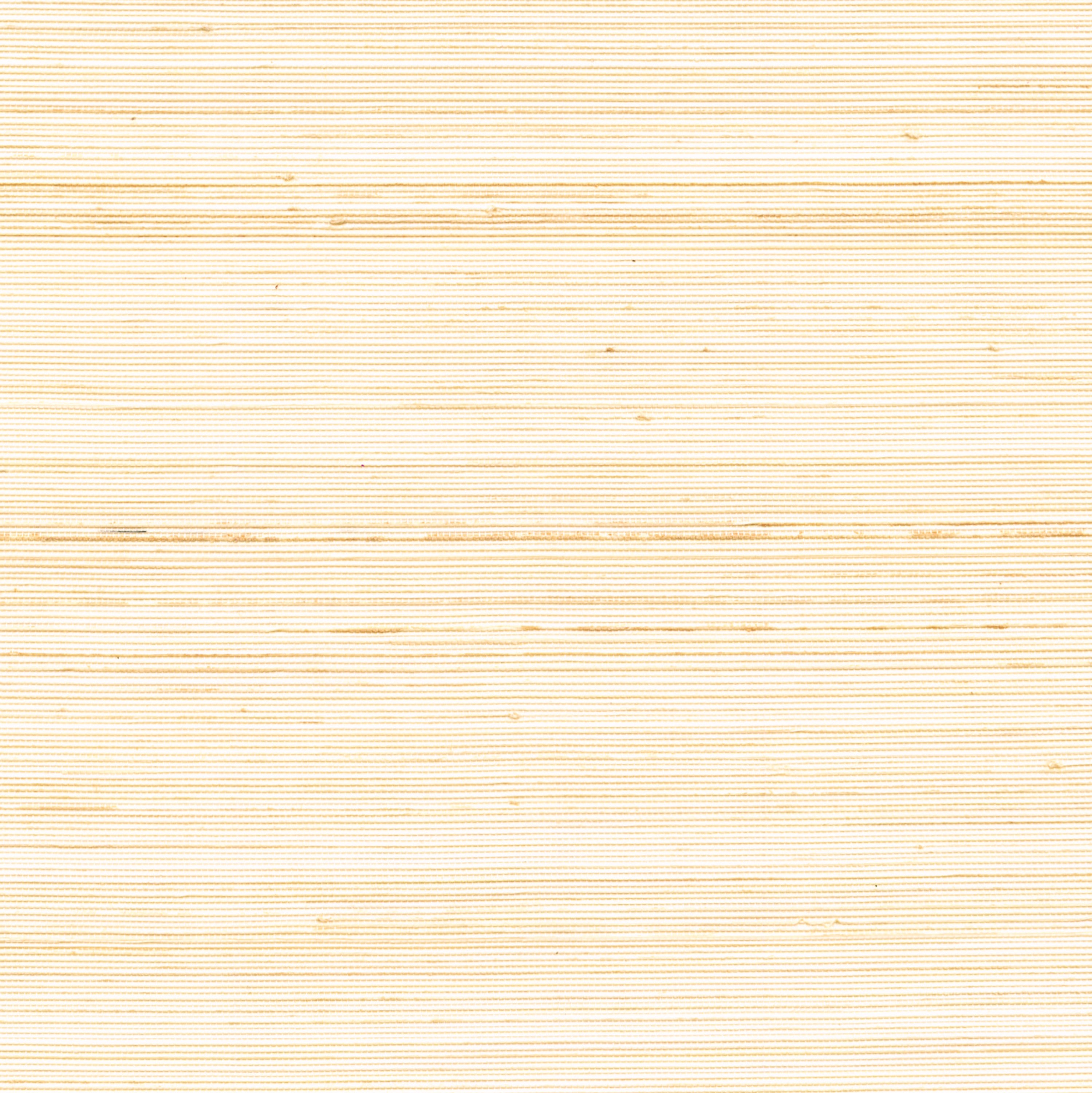 Coiba RM 110 02