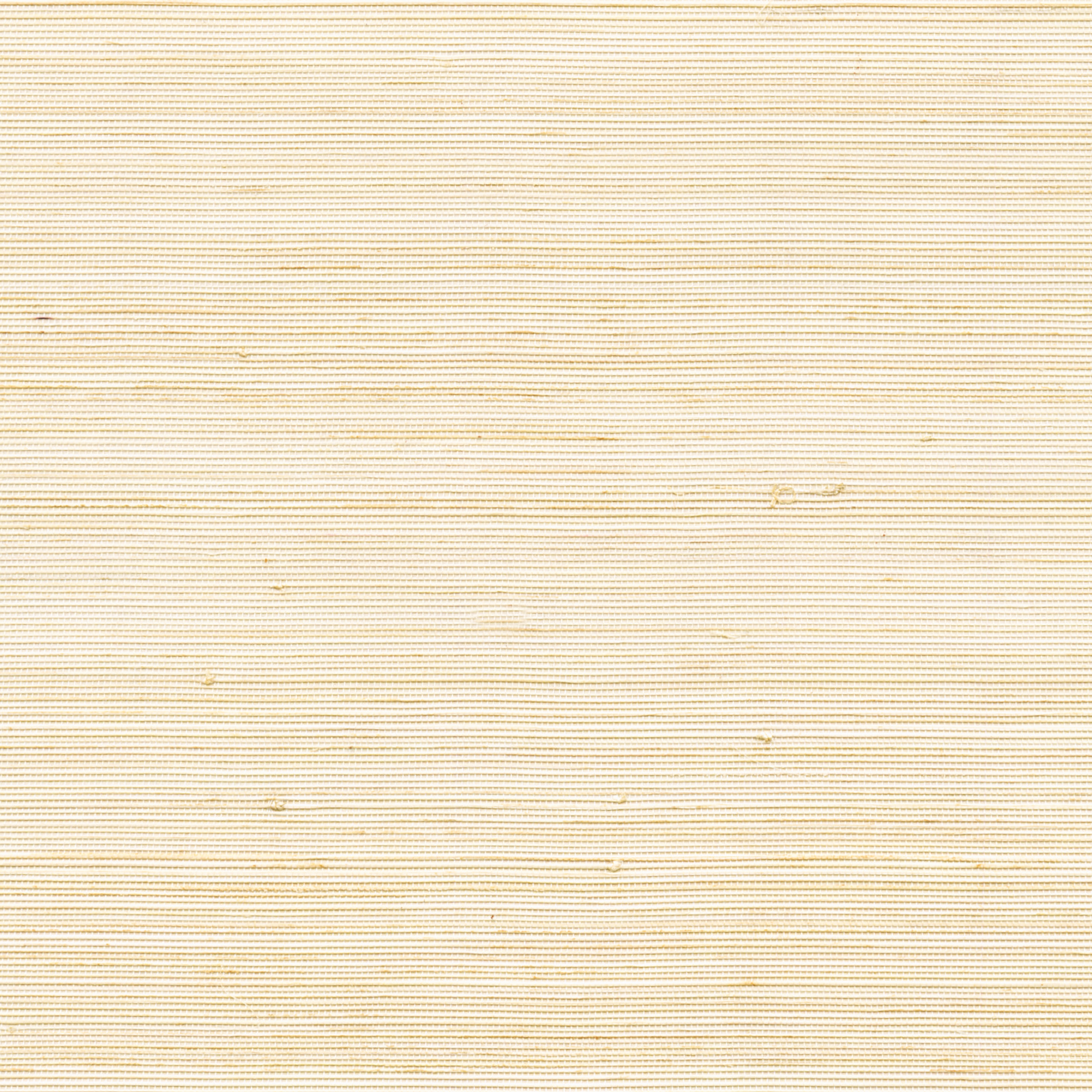 Coiba RM 110 03