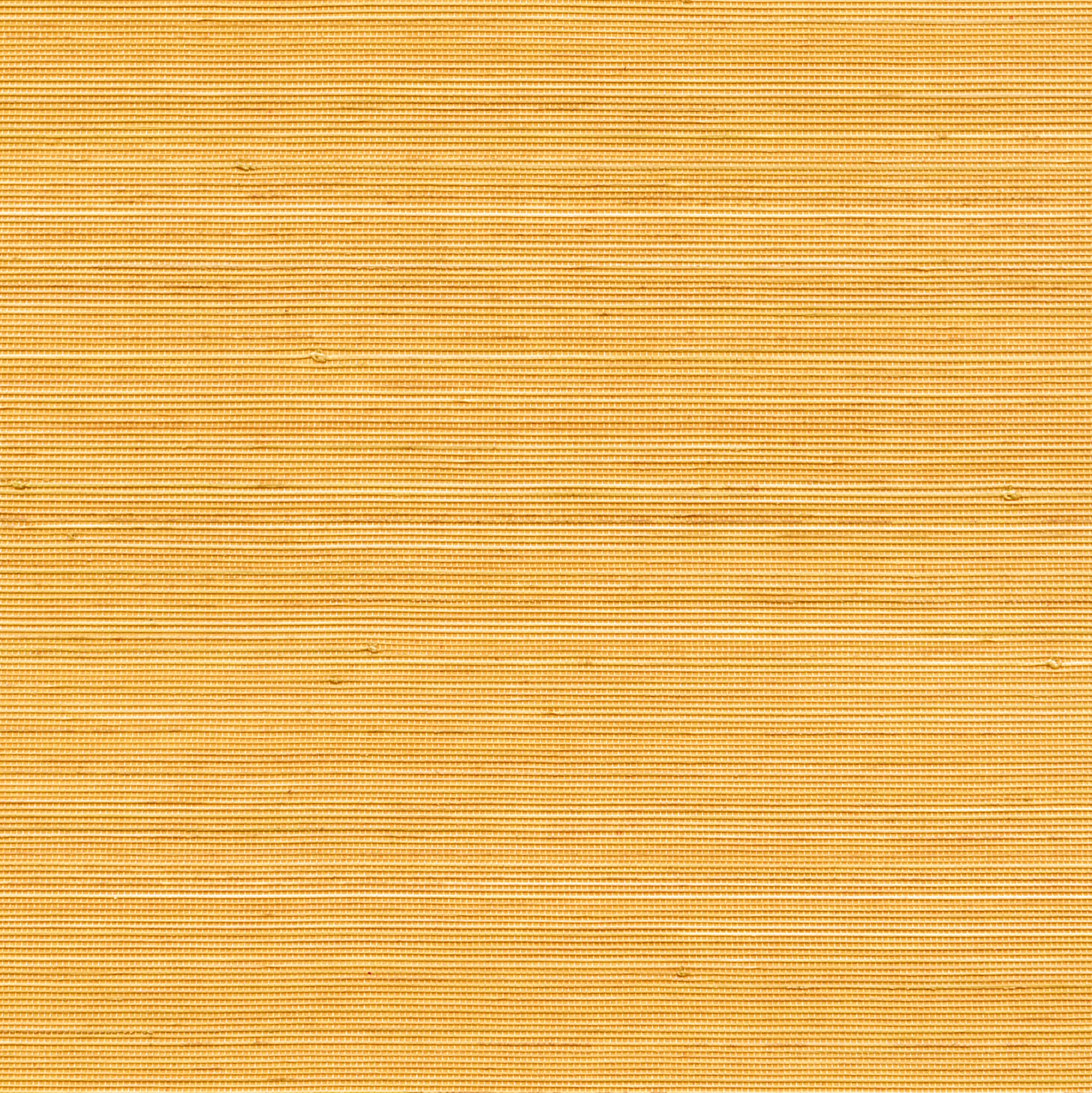 Coiba RM 110 20