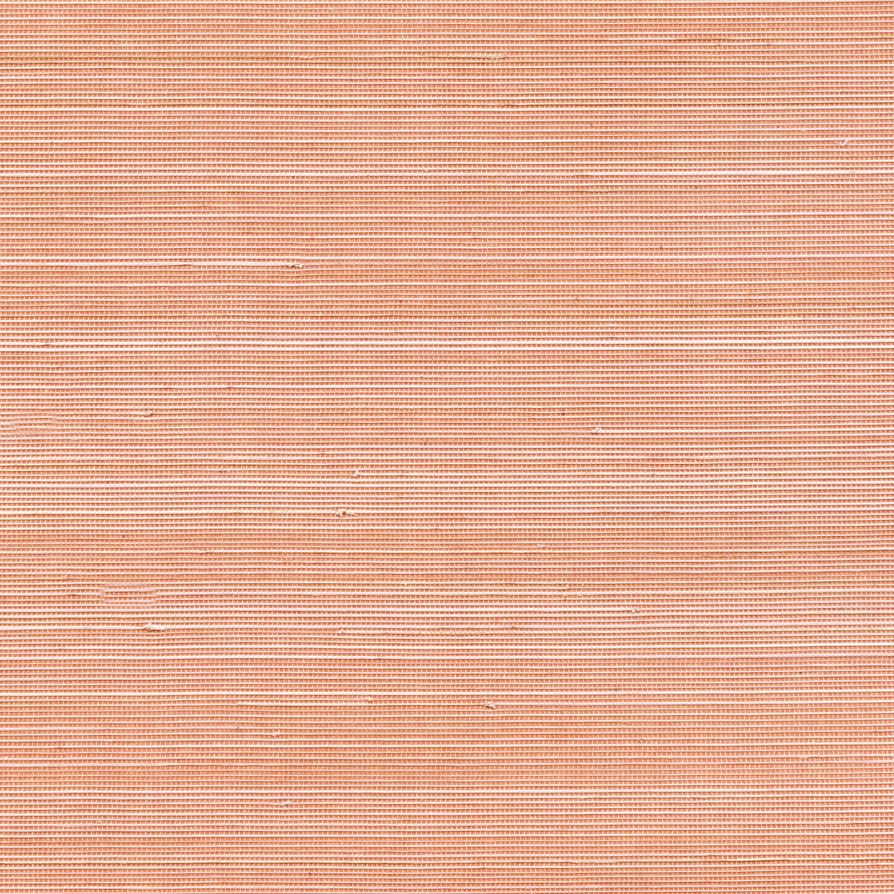 Coiba RM 110 39